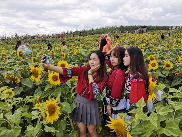 暑夏清凉游丨百万游客尽享21昭通